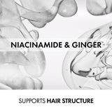 V2HE86B1C994E04DCD247479AAF890B725DR7387888P6