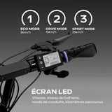 V3HF442131F956B6E503B77E3DA40FCFCA4R6685386P9