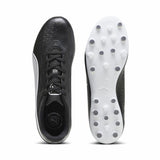 V5H10E53495B1A4D105FAA30164001A8850R4573569P3