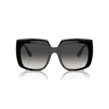 V3H5314A5B0D2213F25656D14C59C450D3FR6290489P2