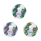 V5H1B5FF2C87441934A5F215B884E1F6E3AR6730761P1